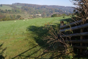 sheephouse field